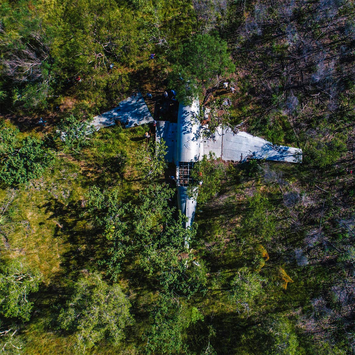 DC3 Plane Wreck, Vansittart Bay