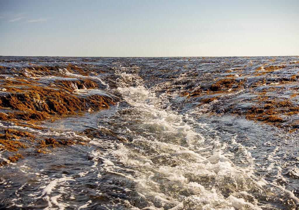Tidal water cascading over Montgomery Reef on the Kimberley coast, Western Australia — © Glen Smith Photography