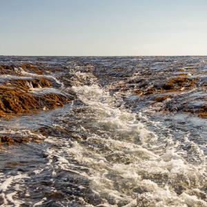 Tidal water cascading over Montgomery Reef on the Kimberley coast, Western Australia — © Glen Smith Photography