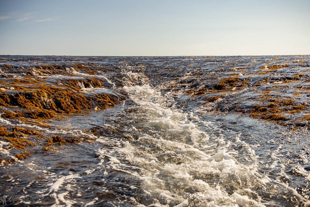 Tidal water cascading over Montgomery Reef on the Kimberley coast, Western Australia — © Glen Smith Photography