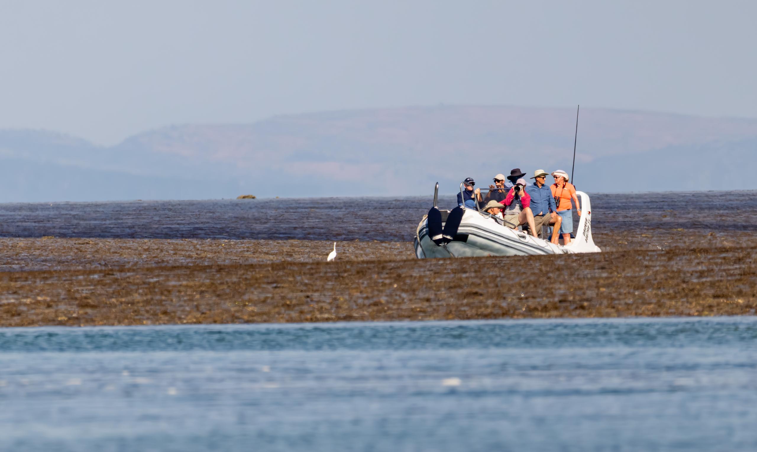 Discovery One expedition tender exploring Montgomery Reef on a Kimberley cruise — © Glen Smith Photography