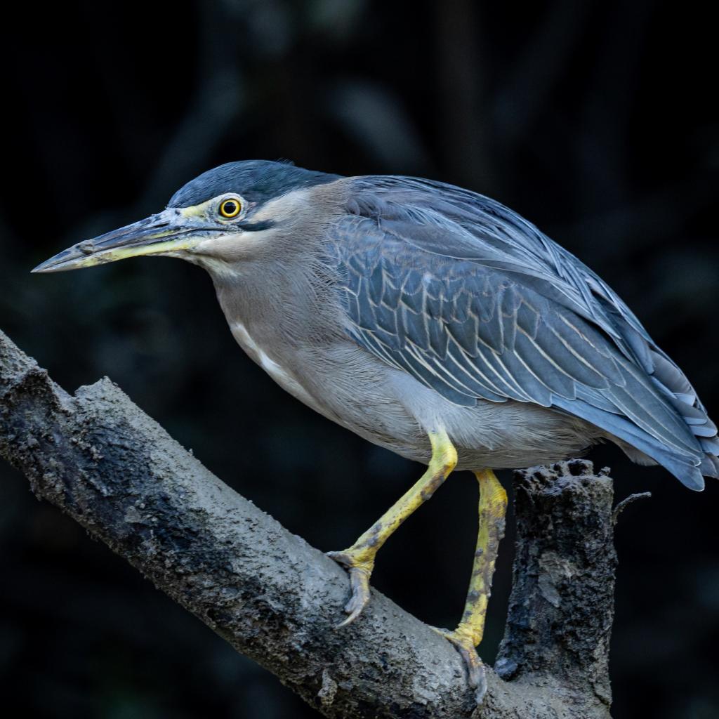 Photo credit: © Glen Smith Photography