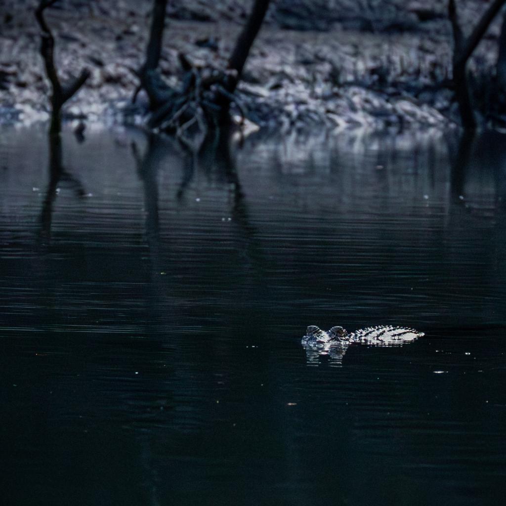 Photo credit: © Glen Smith Photography