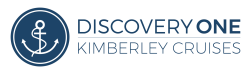 DO Logo New Blue