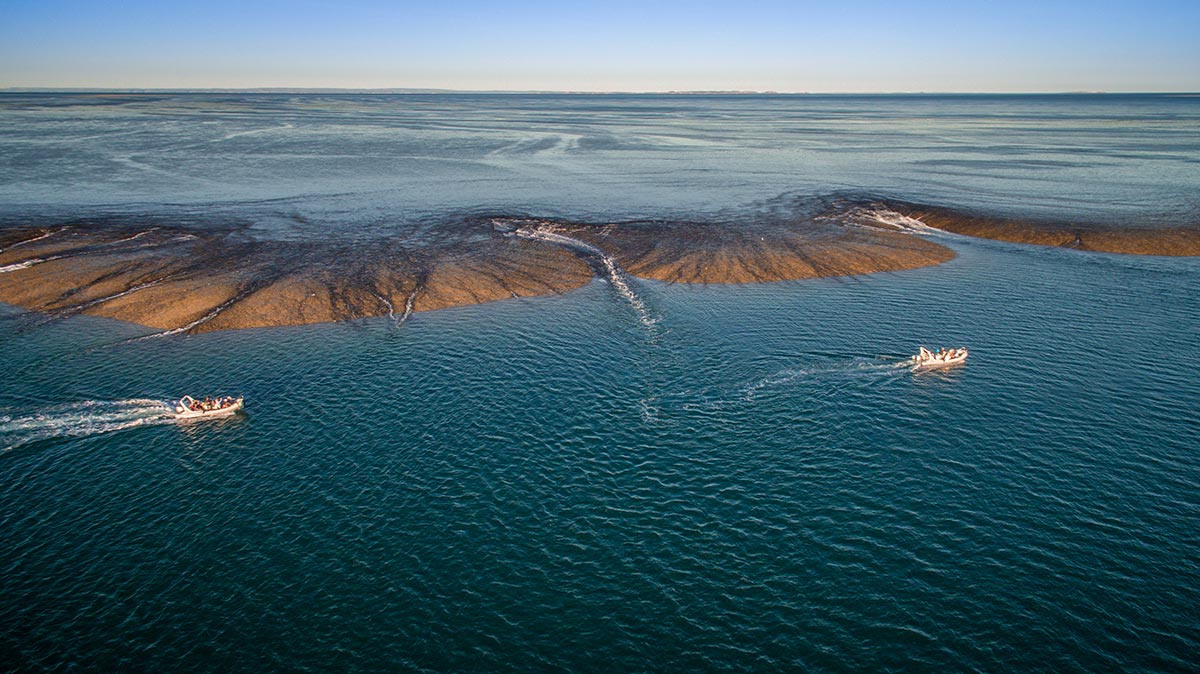 montgomery reef tours